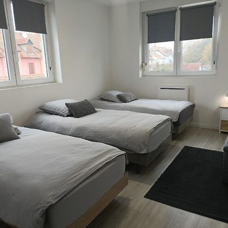 Appartement Entier F3 Renove - Petite Pause A Sélestat Zewnętrze zdjęcie