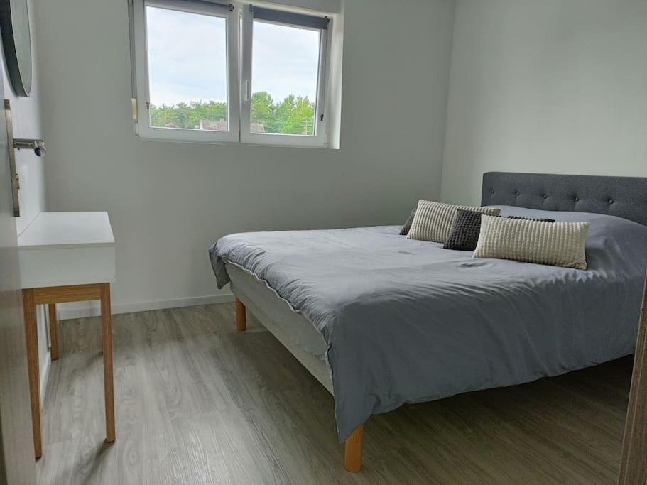 Appartement Entier F3 Renove - Petite Pause A Sélestat Zewnętrze zdjęcie