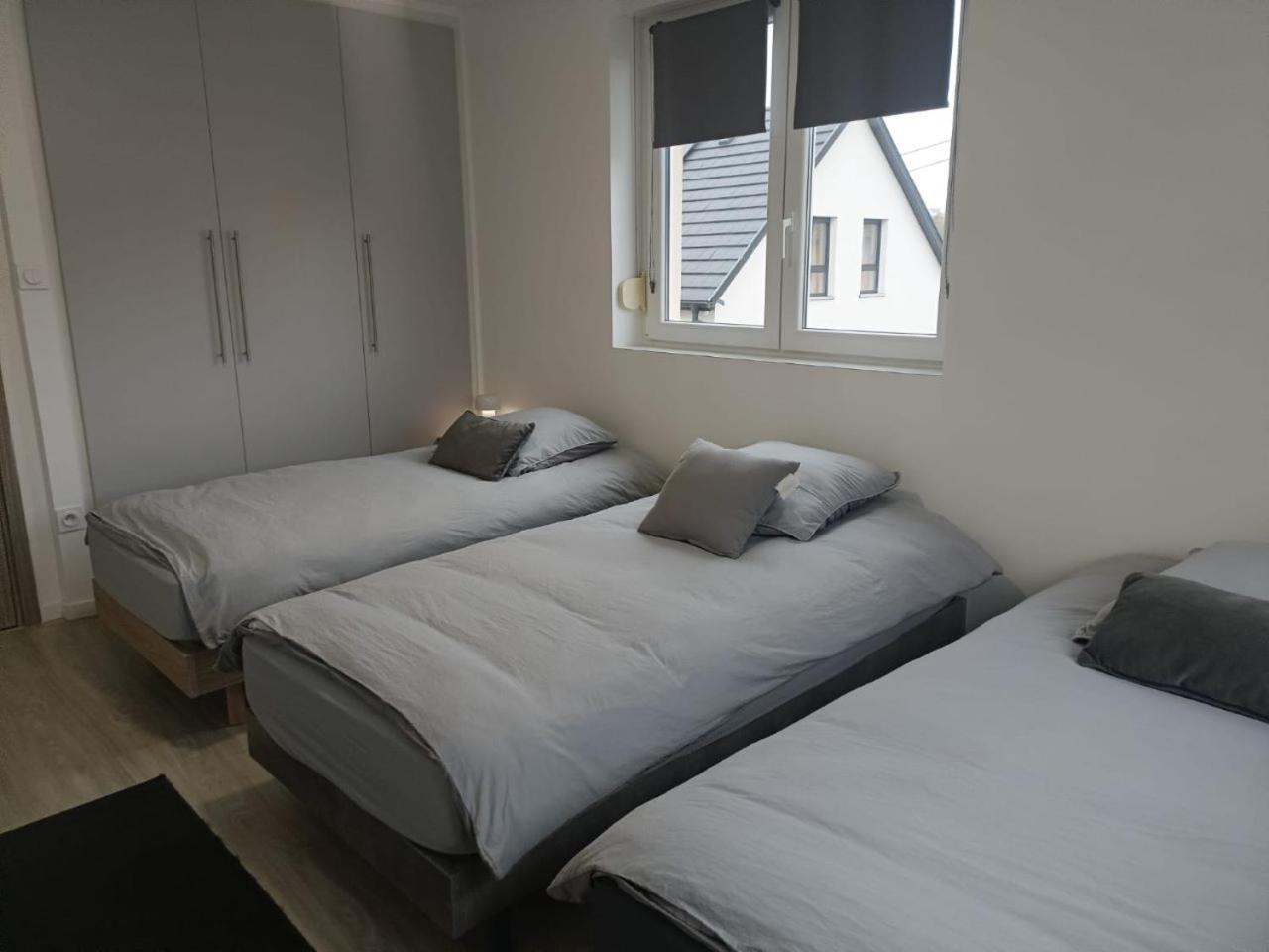 Appartement Entier F3 Renove - Petite Pause A Sélestat Zewnętrze zdjęcie