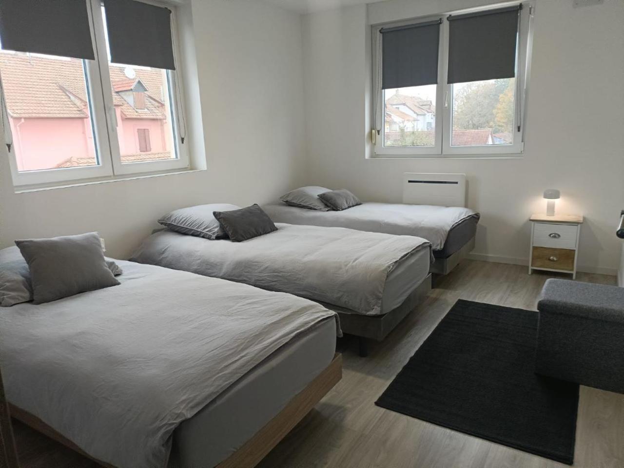 Appartement Entier F3 Renove - Petite Pause A Sélestat Zewnętrze zdjęcie